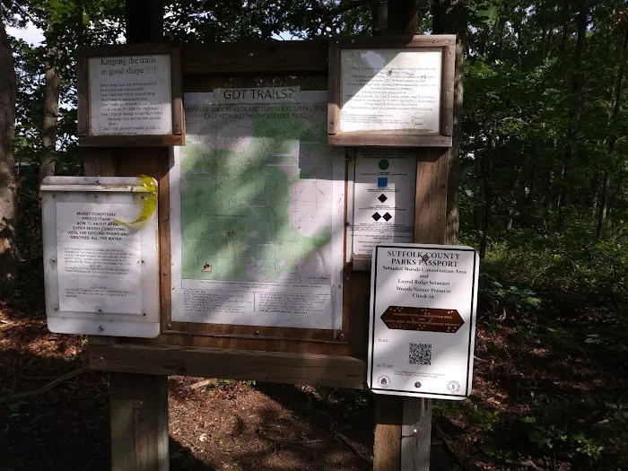 Laurel Ridge Setauket Woods Nature Preserve Picture 8