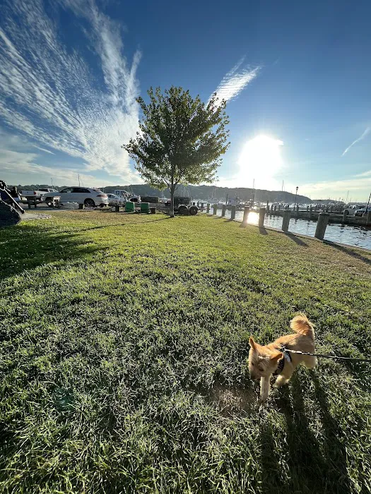 Cow Harbor Park Picture 6