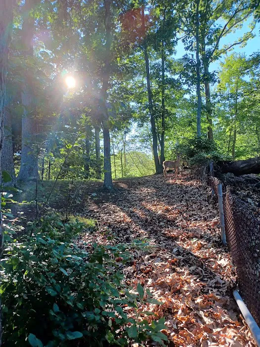 Henry Ingraham Nature Preserve Picture 2