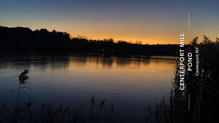 Centerport Mill Pond Picture 3