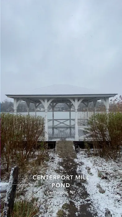 Centerport Mill Pond Picture 6