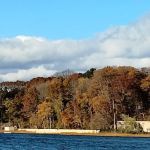 Heron Park