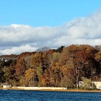 Heron Park ico