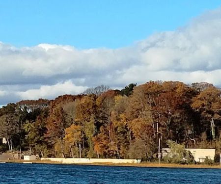 Heron Park
