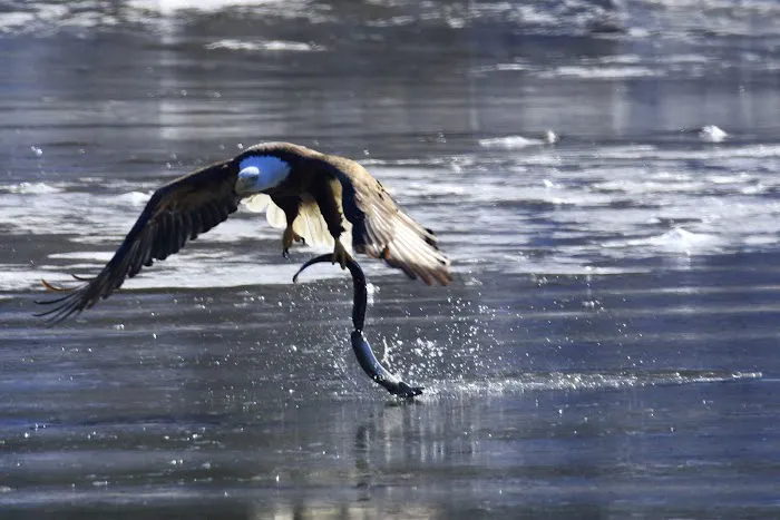 Heron Park Picture 4