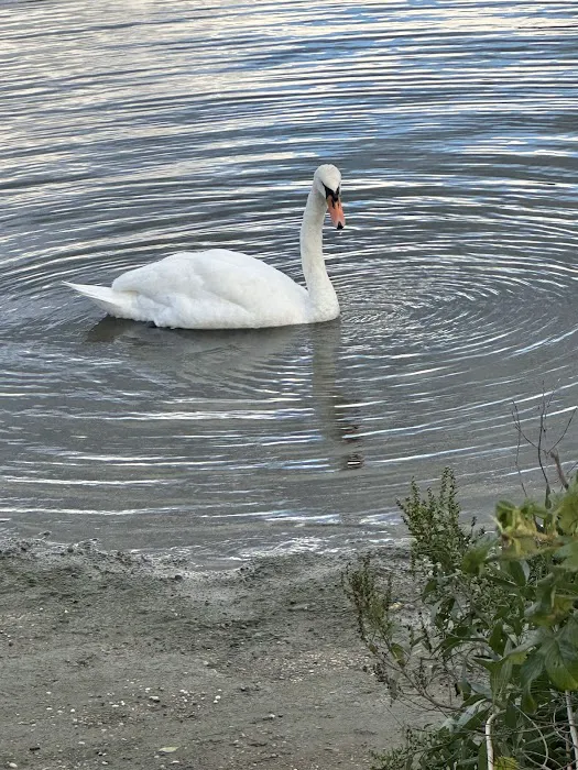 Heron Park Picture 9