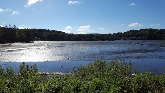 Heron Park Picture 8