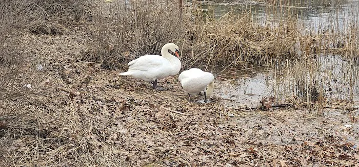 Grist Mill Park Picture 9