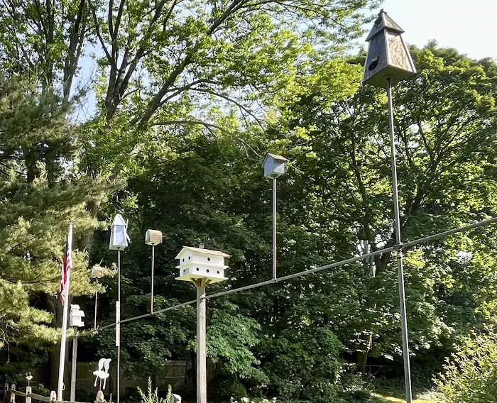 David P. Bennardo Community Park Picture 6