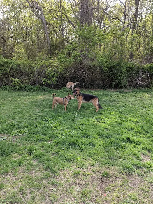 West Hills Big Dog Run Picture 1