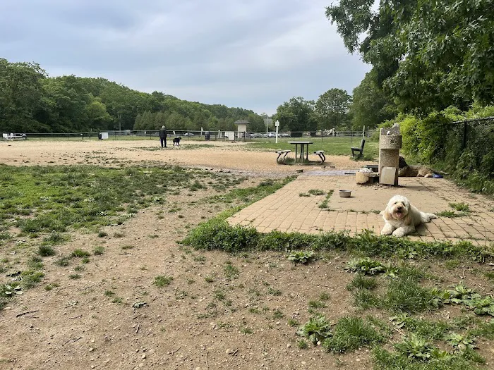 West Hills Big Dog Run Picture 2