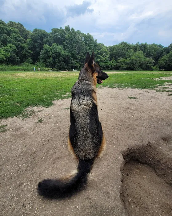 West Hills Big Dog Run Picture 4