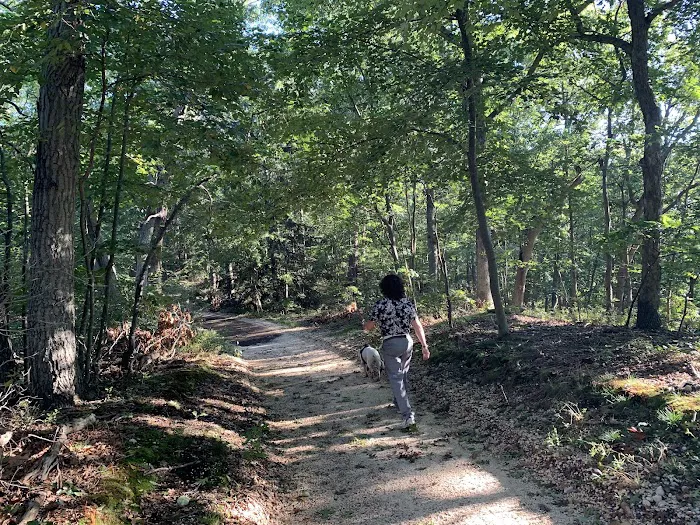 West Hills Big Dog Run Picture 9