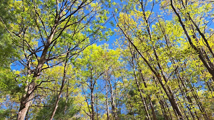 West Hills Preserve Trail Head Picture 6