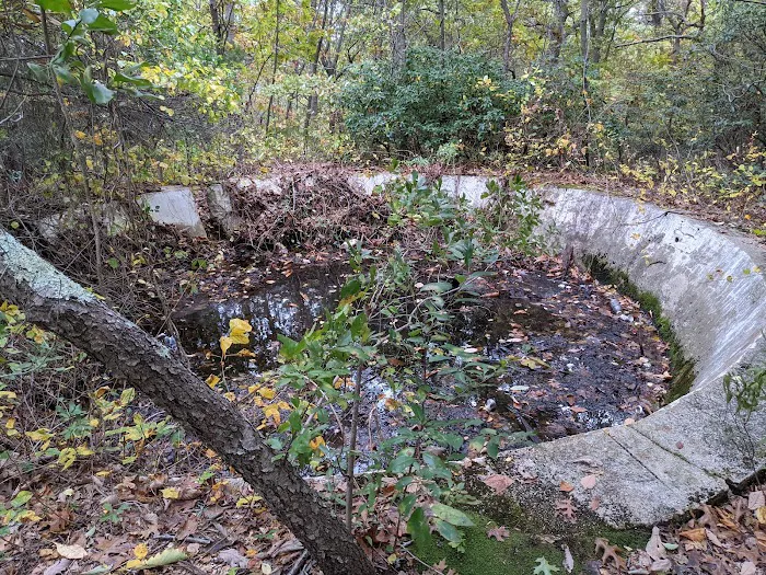 West Hills Nature Preserve Picture 2