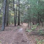 West Hills Nature Preserve