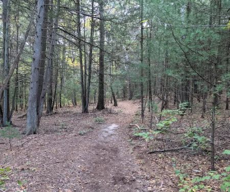 West Hills Nature Preserve