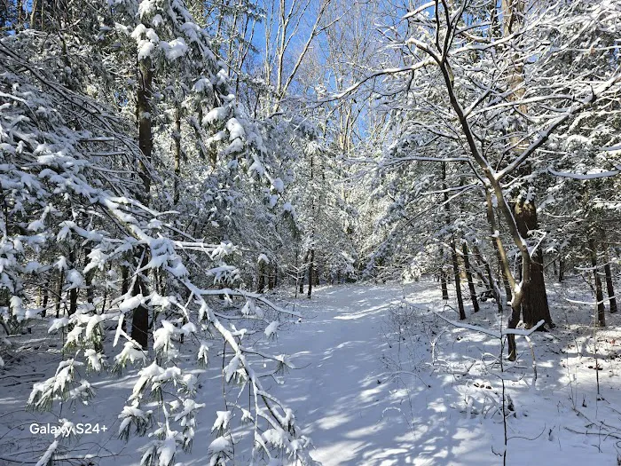 West Hills Nature Preserve Picture 6