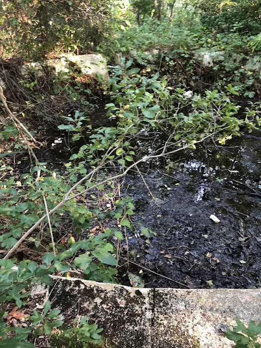West Hills Nature Preserve Picture 9