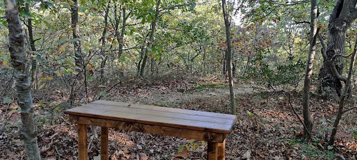 West Hills Nature Preserve Picture 8