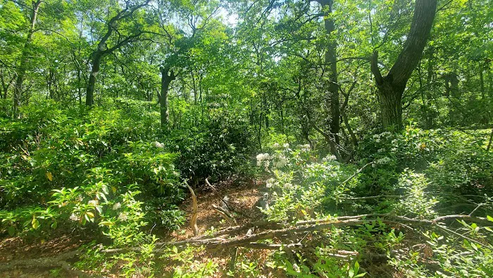 West Hills Nature Preserve Picture 10