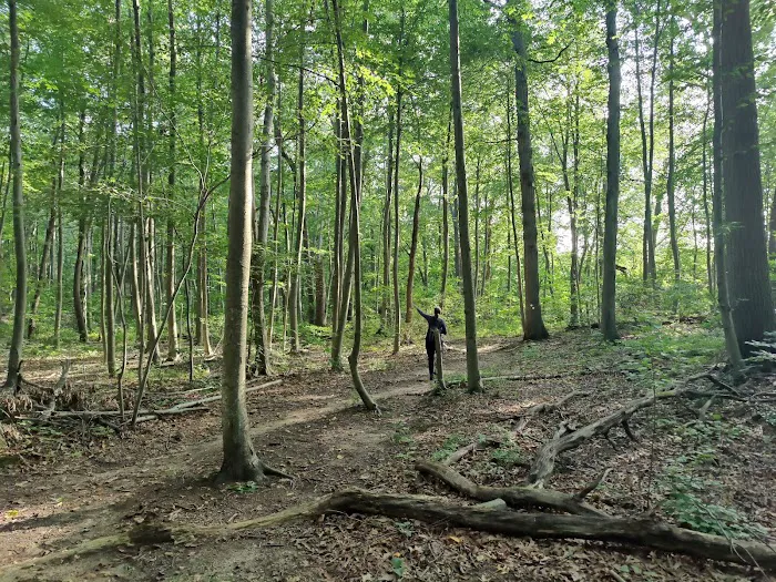 West Hills County Park Picture 2