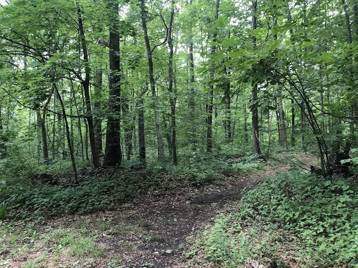 West Hills County Park Picture 6