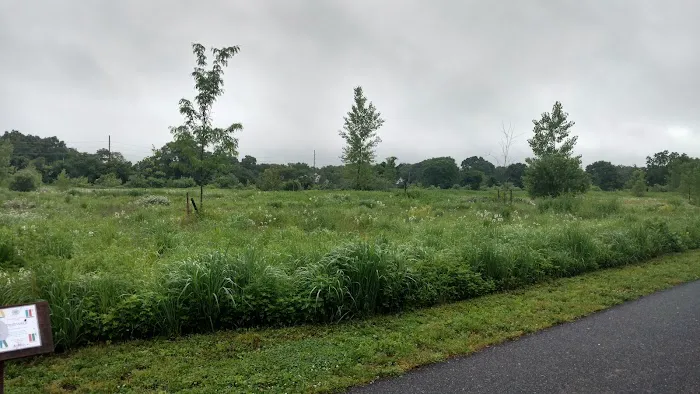 Blue Point Nature Preserve Picture 6