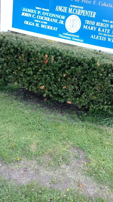 Bayport Commons Park Picture 8