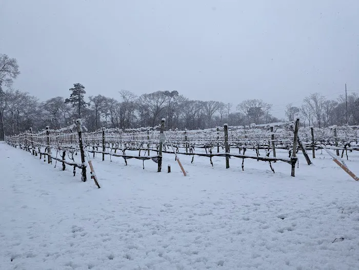 Meadow Croft Estate Picture 7
