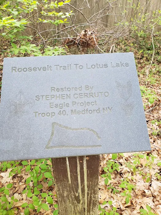 Roosevelt Estate County Park Picture 3