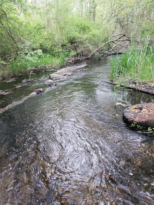 Roosevelt Estate County Park Picture 9