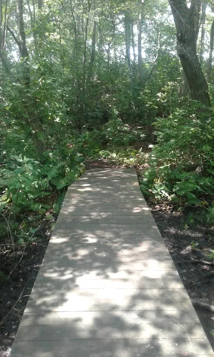 Brookside County Park Picture 2