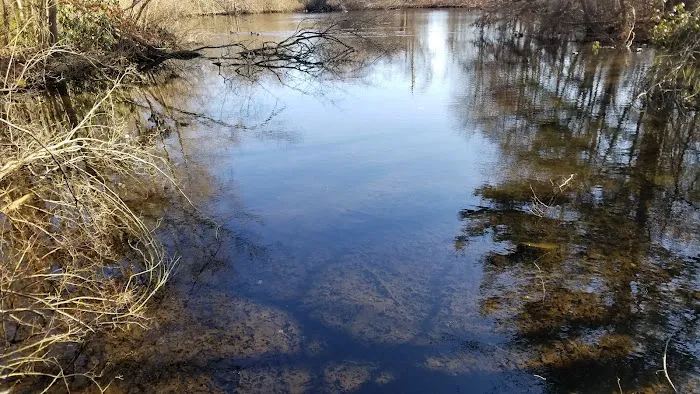 Brookside County Park Picture 3