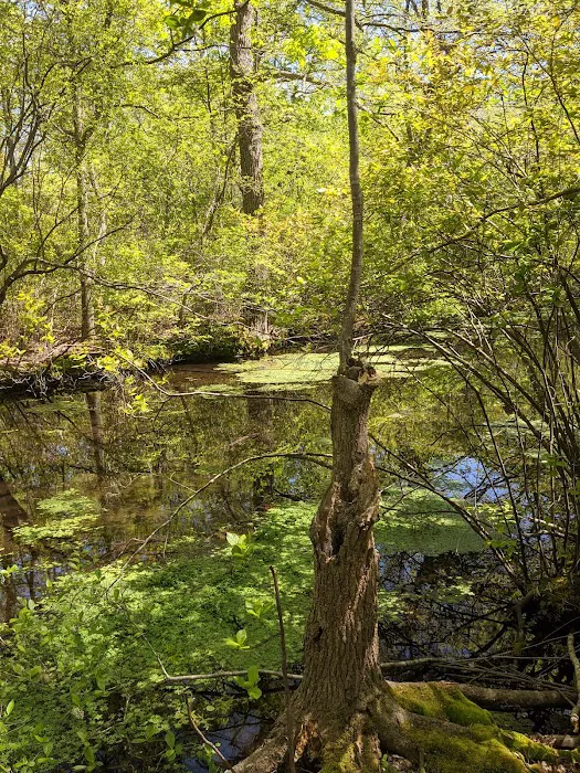 Brookside County Park Picture 4