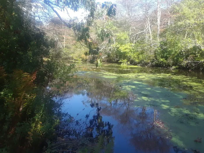 Brookside County Park Picture 5