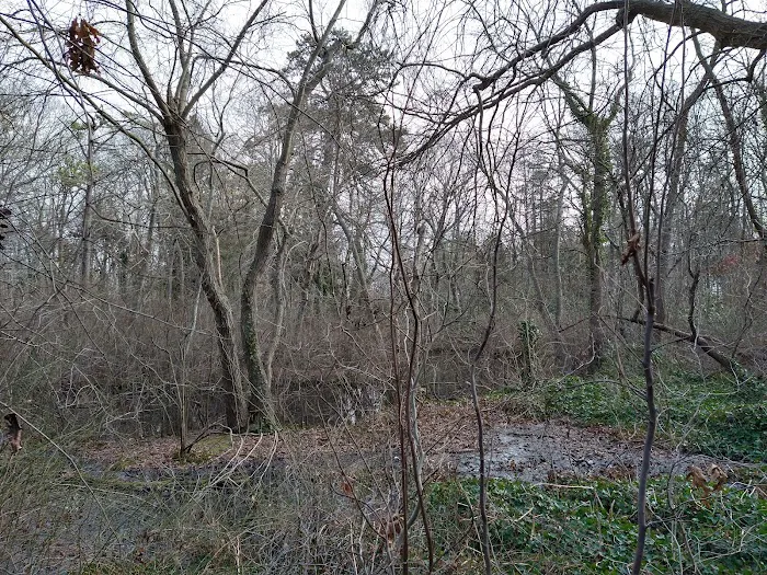 Brookside County Park Picture 7