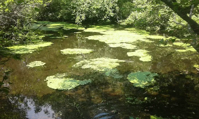 Brookside County Park Picture 10