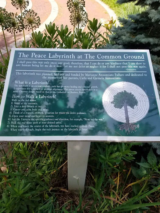 The Common Ground at Rotary Park Picture 9