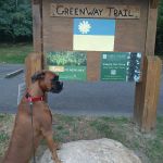 Setauket Greenway Trail Start