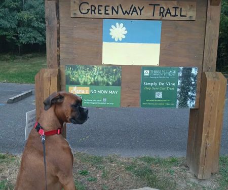 Setauket Greenway Trail Start