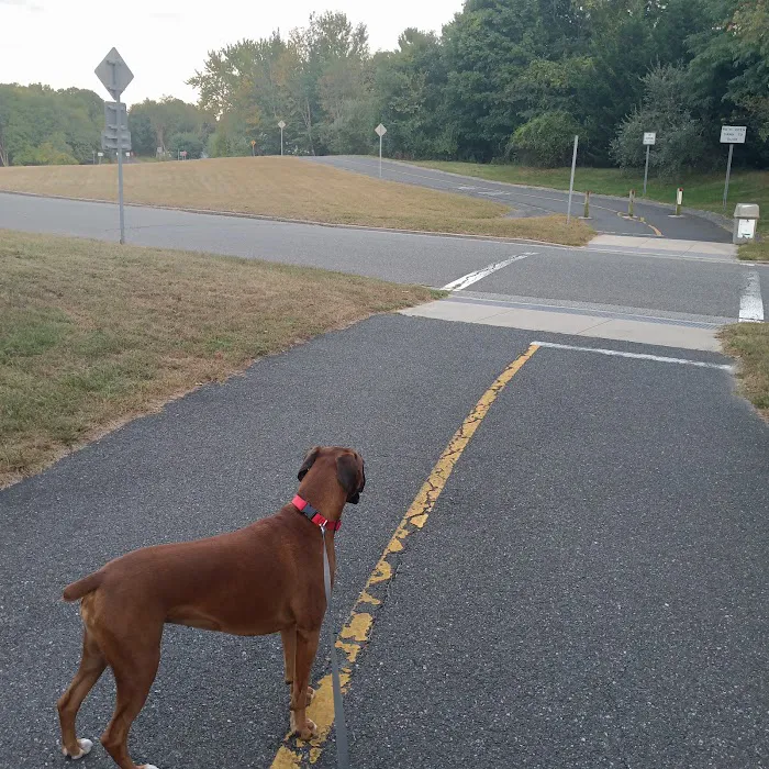 Setauket Greenway Trail Start Picture 2