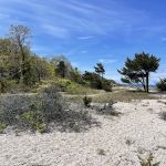 Flax Pond Wetland Trailhead