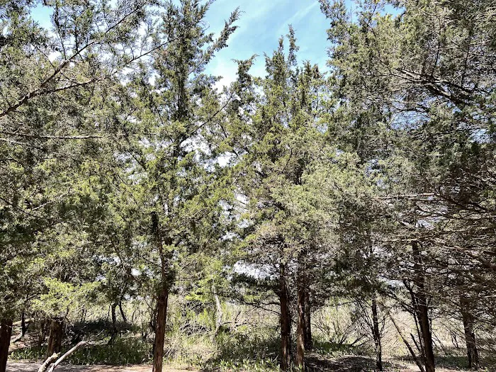 Flax Pond Wetland Trailhead Picture 6
