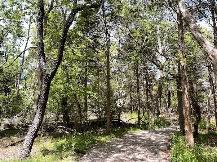 Flax Pond Wetland Trailhead Picture 4