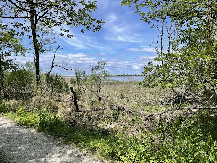 Flax Pond Wetland Trailhead Picture 8