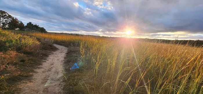 Flax Pond Beach Picture 7
