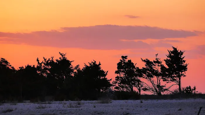 Flax Pond Beach Picture 5