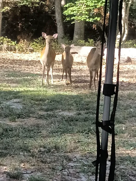 Suffolk County Department of Parks Picture 6