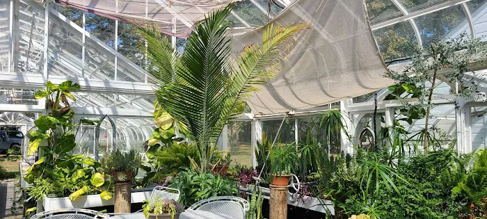 Meadowedge Greenhouse Picture 2